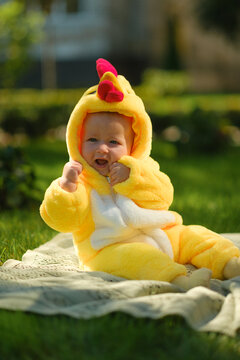 Cute baby in funny chicken costume sitting on green grass outdoors on sunny summer day