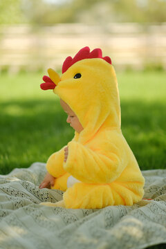 Cute baby in funny chicken costume sitting on green grass outdoors on sunny summer day