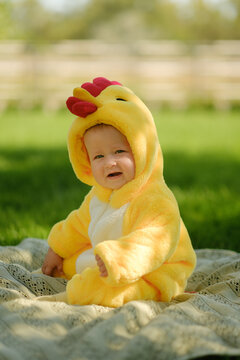 Cute baby in funny chicken costume sitting on green grass outdoors on sunny summer day