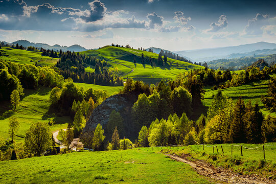 Szczawnica - Rezerwat Biała Woda - Pieniny