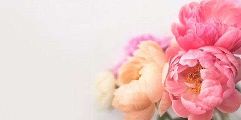 Obraz premium Floral greeting card template featuring pink, peach, and white peonies with empty copy space for text. 
