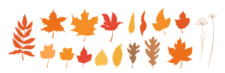 Obraz premium Autumn Leaf Collection Fall Foliage Silhouette