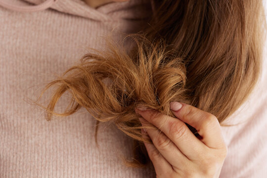 A detailed view of a woman holding a section of light brown hair, focusing on tangled and frizzy ends that need professional treatment and repair.