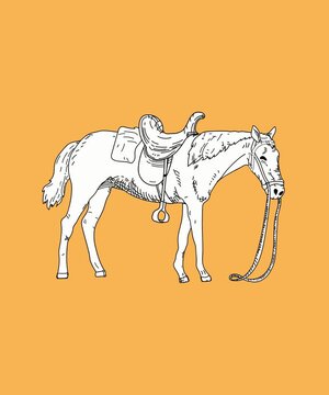 Saddled horse with reins and stirrups