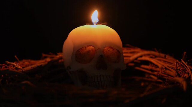 Human skull wax mold with fire flickering on the wick surrounded by twigs and sticks from the forest. Occult and esoteric witchcraft still life. Halloween background with magic ritual arrangement.