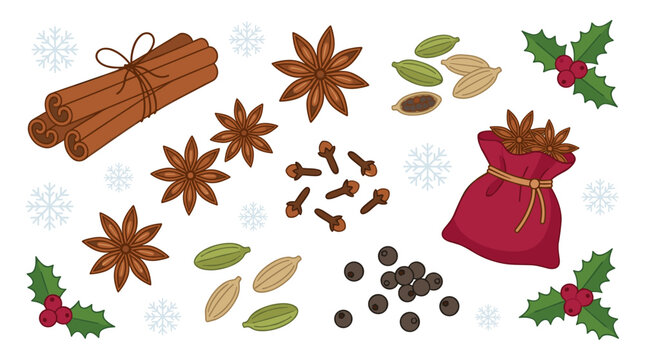 Flat design vector illustration of winter holiday spices including cinnamon, star anise, cloves, cardamom, peppercorns, and holly berries with