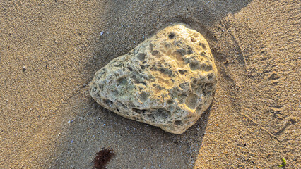A textured, weathered rock rests on fine wet sand at a beach, illuminated by warm sunlight casting a soft shadow. © aura
