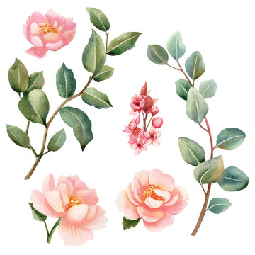 Hand-drawn watercolor botanical clipart set with green leafy branches, pink roses and pink cherry blossoms, botanical illustrations for cards, invitations, backgrounds and creative designs