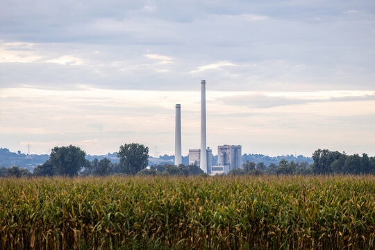 Industrial Factory Chimneys Standing Behind Agricultural Cornfield in Rural Morning Landscape