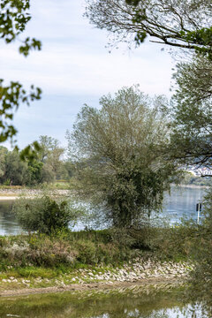Scenic view of the overgrown Danube riverbank framed by green foliage and trees on an autumn day in Lower Bavaria.