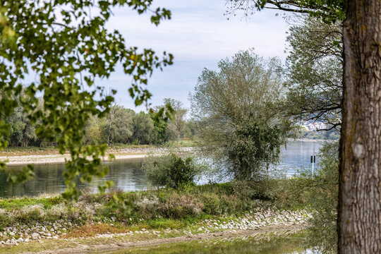 Scenic view of the overgrown Danube riverbank framed by green foliage and trees on an autumn day in Lower Bavaria.