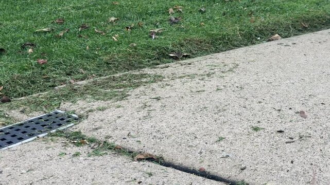 Slow motion detailed view of a leaf blower clearing freshly cut grass clippings and leaves from a concrete driveway after lawn mowing. 15401  
