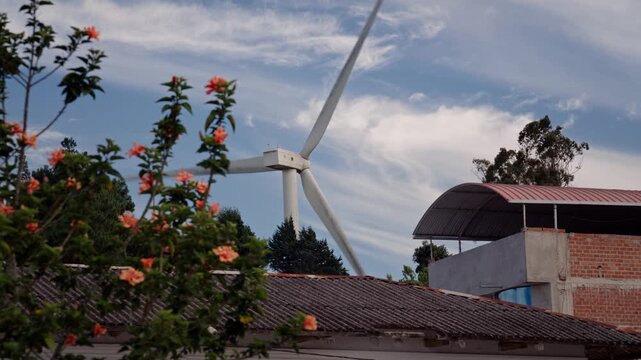 aerogenerador en segundo plano, y flores en primer plano