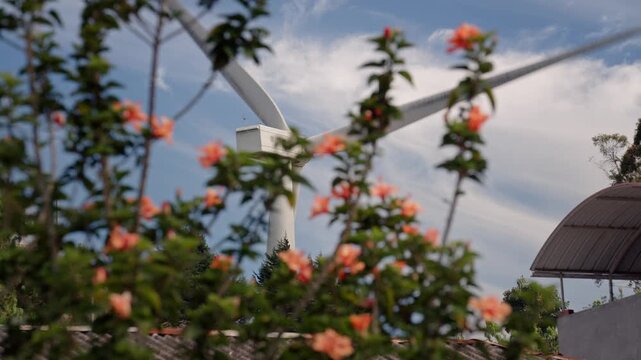 aerogenerador en segundo plano, y flores en primer plano