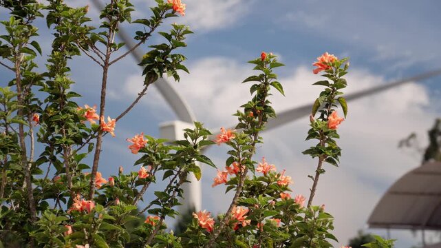 aerogenerador en segundo plano, y flores en primer plano