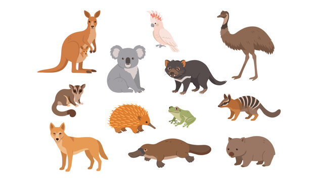 Australian wildlife animals vector set with kangaroo koala platypus echidna dingo wombat emu and tasmanian devil cartoon characters
