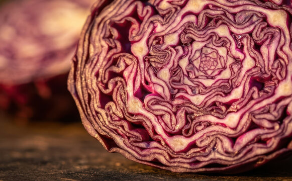 Cross section of a fresh red cabbage showing intricate organic layers and spiral patterns, ideal for healthy eating, nutrition, and organic food concepts.