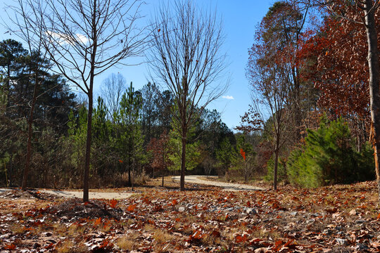 Westside Park during fall with colorful leaves and sidewalks.