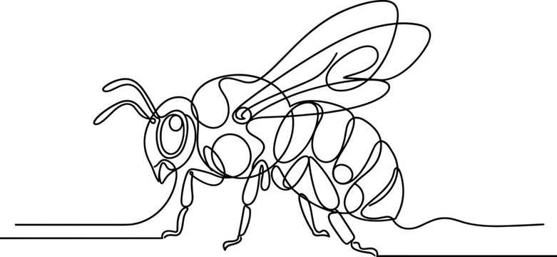Line art illustration of a bee or wasp walking on a surface.