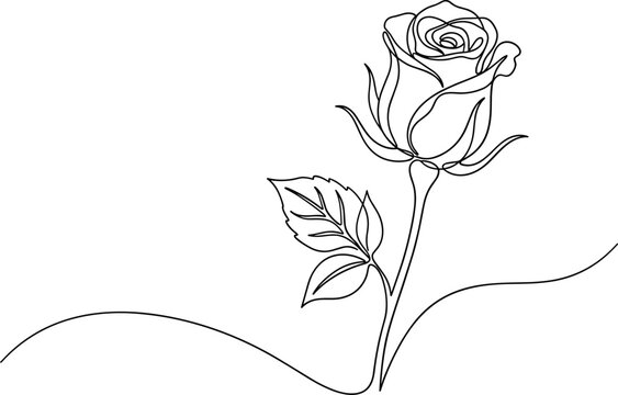 minimalist continuous line drawing of a single rose flower.