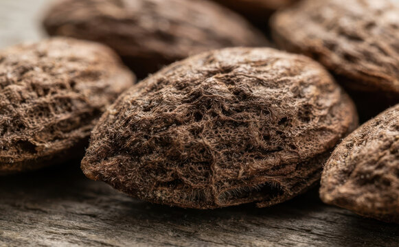 Macro shot of dried Pangium edule fruit shells on a rustic wooden table, representing exotic traditional Southeast Asian ingredients and indigenous culinary culture