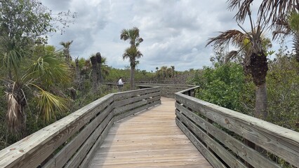 A wooden boardwalk winds through the lush wetland landscape of Fakahatchee Strand Preserve State Park in South Florida.  © Katrin
