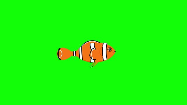 A Cartoon Clownfish Swimming Across a Vibrant Green Screen