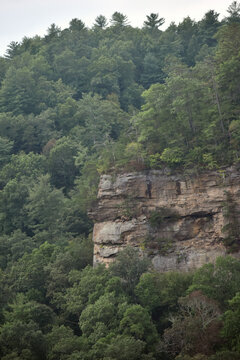 Craggy forest cliff framed by summer trees