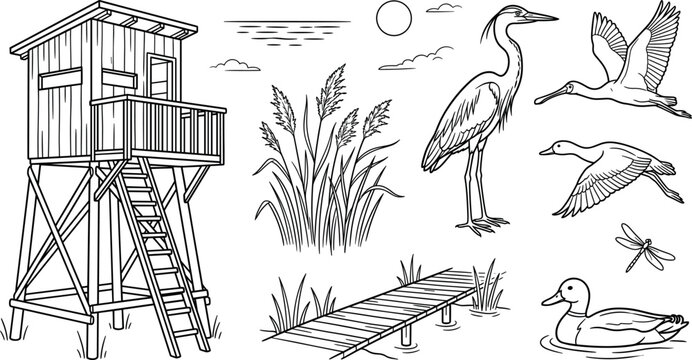 Bird watching vector element set featuring wooden observation tower wetland heron flying ducks boardwalk pier and lakeside reeds