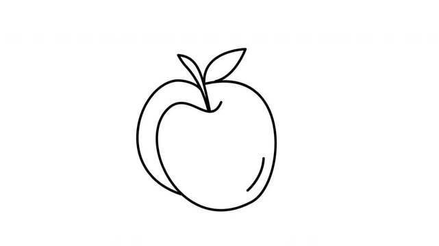 plum fruit drawing outline coloring page