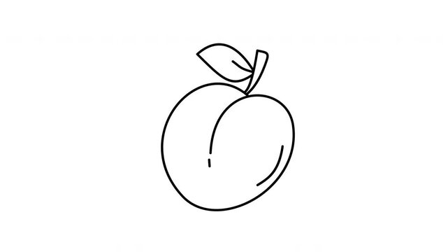plum fruit outline