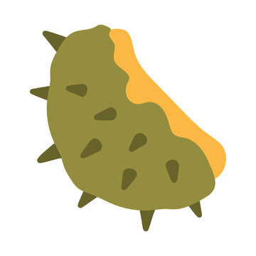 Vector illustration of half a green spiky chestnut shell hull. Great for autumn nature sets, botanical graphics, and fall harvest design elements