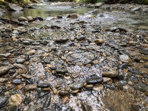 Clear stream water flowing over smooth river stones and pebbles in nature.