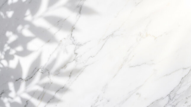 Elegant White Marble Background with Leaf Shadows