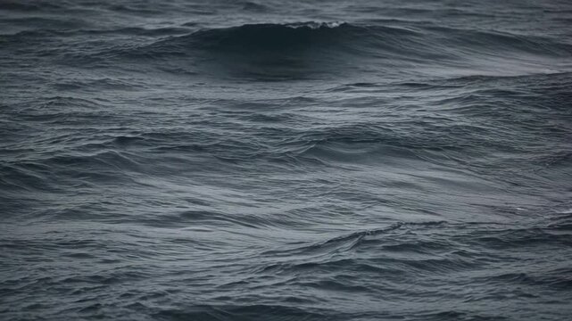 Dark Moody Sea Surface with Rolling Ocean Wave, Water Ripple, Swell Movement, Natural Texture, Tranquil Coastal Atmosphere, Marine Background Design, Overcast Light Pattern