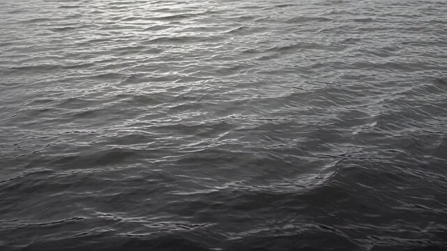 Dark Ocean Surface Sea Wave Water Texture with Gentle Ripples and Overlapping Patterns, Calm Gray Monochrome Background for Tranquil Coastal Marine Design and Natural Atmosphere