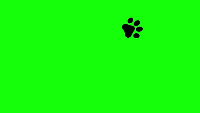 Animated animal paw prints walking on green screen chroma key background.