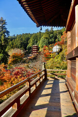 Obraz premium 秋の長谷寺・本堂からの五重塔（奈良県・桜井市）