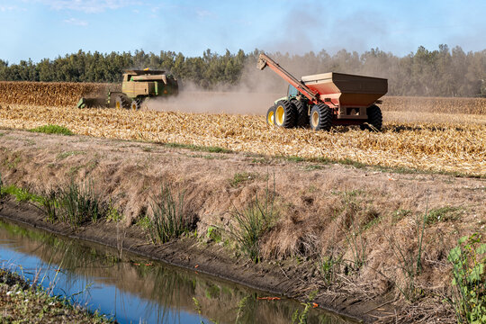 Farm equipment harvesting dry corn in agricultural field near irrigation canal, Yolo County, California, U.S.A.
