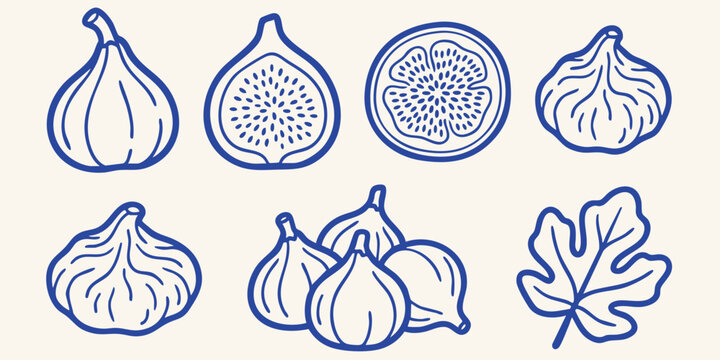 Fresh figs and leaf illustrations in a hand drawn doodle style on a light background