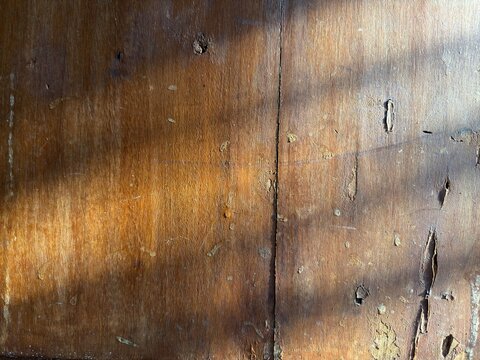 Weathered wooden surface with peeling varnish and deep crack detail, warm golden hour sunlight falling across damaged texture background