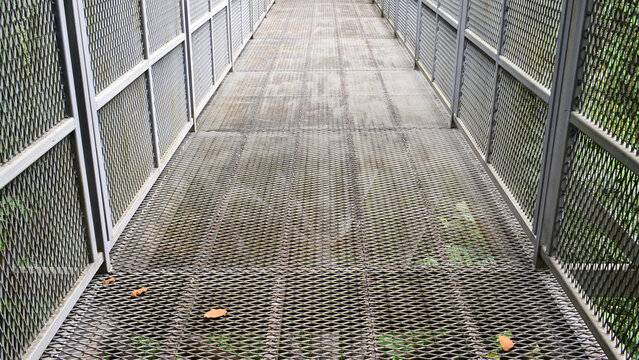 steel mesh canopy walk bridge walkway extending into green jungle