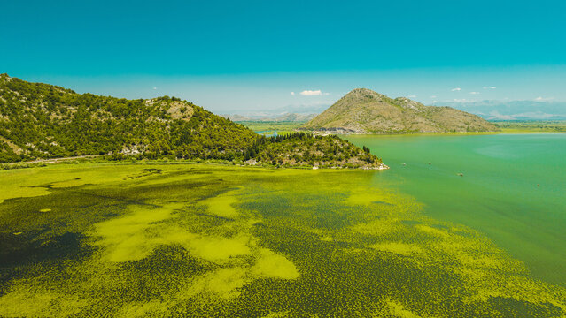 Aerial View of Skadar Lake and Water Lilies Near Virpazar