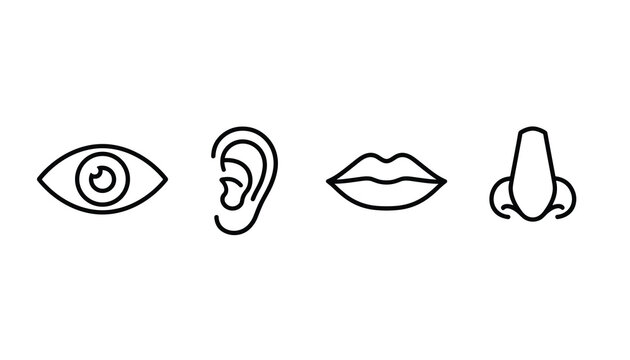 Line outline icon set representing the five human senses of sight hearing taste touch and smell on white background.