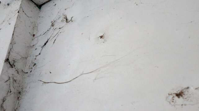 High angle close-up of a white wall corner with dust and cobwebs