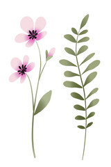 Obraz premium Hand drawing flower watercolor, floral botanical illustration, clip art. Perfectly for printing design on invitations, cards, posters and other.