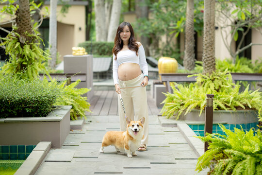Asian pregnant woman standing with cute corgi dog in green garden resort pathway