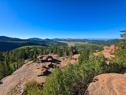 Rocky Mountain Landscape with Pine Forest and Clear Sky