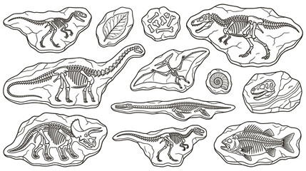 Prehistoric dinosaur fossils and ancient skeleton remains in stone matrix. © SHUVO
