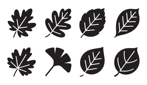 Fall tree leaves silhouettes set on transparency grid for autumn season graphic design and decoration.
